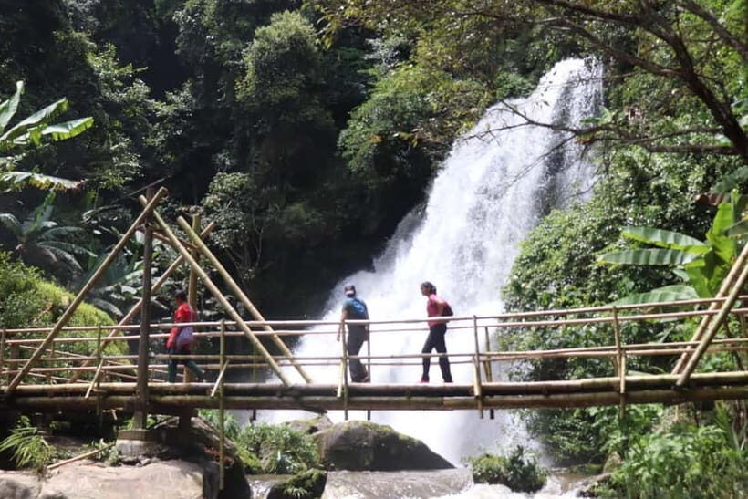Chiang Mai: Doi Inthanon National Park+Trek Pha Dok Siew - What Makes This Tour Stand Out?