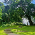 Chiang Mai Doi Inthanon Park Waterfall Pure Sightseeing Tour - What Makes This Tour Stand Out