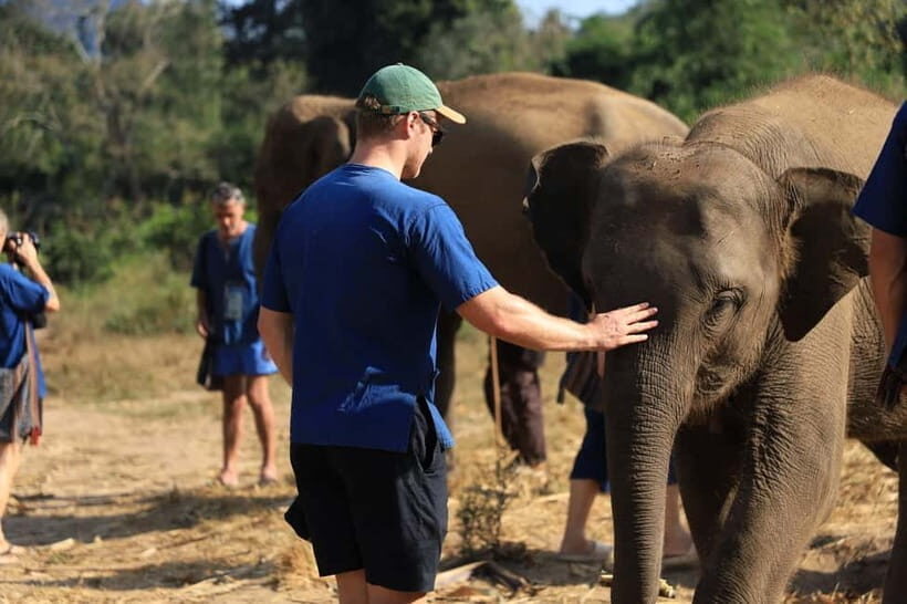 Chiang Mai: Elephant Sanctuary & Bamboo Rafting - Detailed Breakdown of the Itinerary