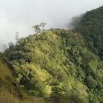 Chiang Mai: Full-Day Hiking Tour by Trailhead - Practical Tips for Your Hike