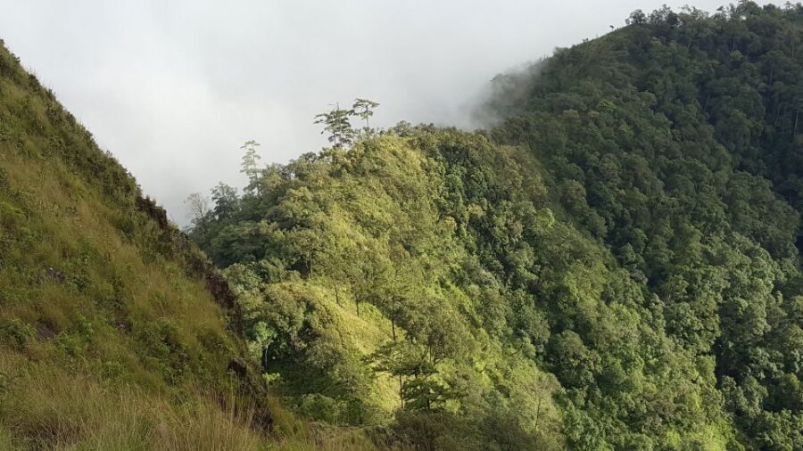 Chiang Mai: Full-Day Hiking Tour by Trailhead - Practical Tips for Your Hike