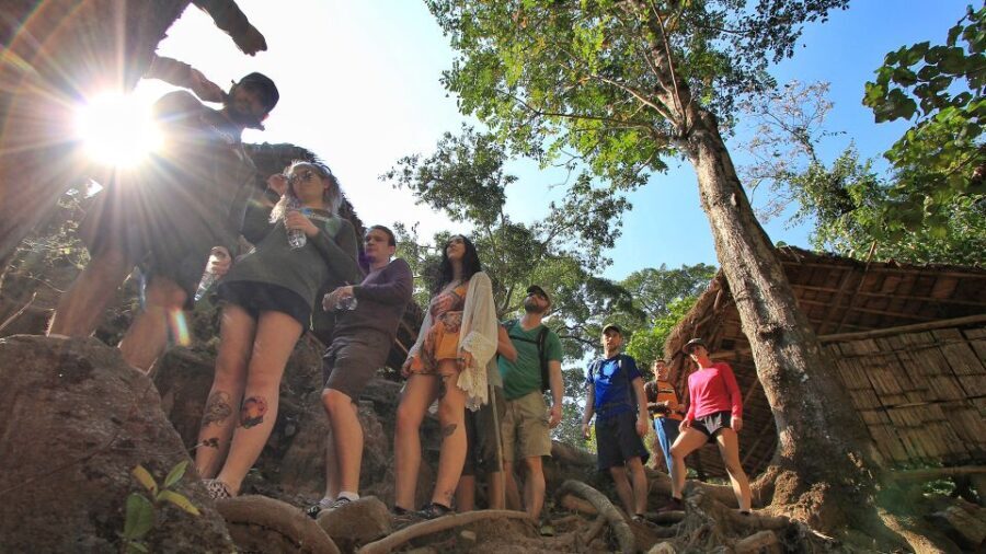 Chiang Mai: Guided Jungle and Waterfall Trek with Transfer - The Value of This Tour