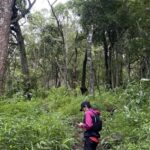 Chiang Mai: Hmong Village, Doi Suthep and Wat Pha Lat Trek - FAQ