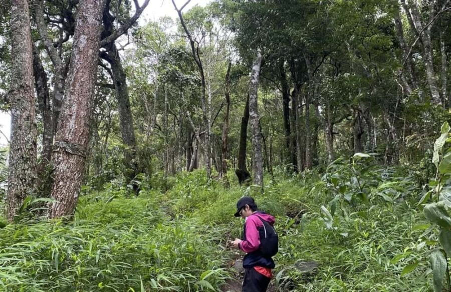 Chiang Mai: Hmong Village, Doi Suthep and Wat Pha Lat Trek - FAQ