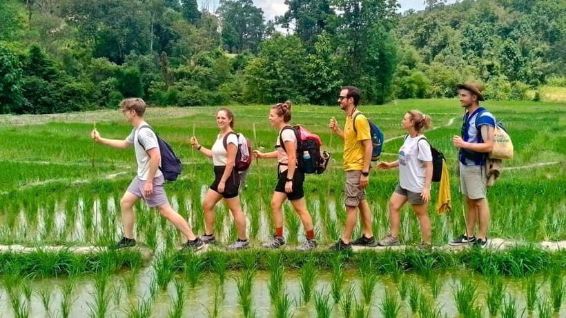 Chiang Mai: Jungle Trek, Elephants care & Bamboo Rafting - The Bamboo Rafting Experience