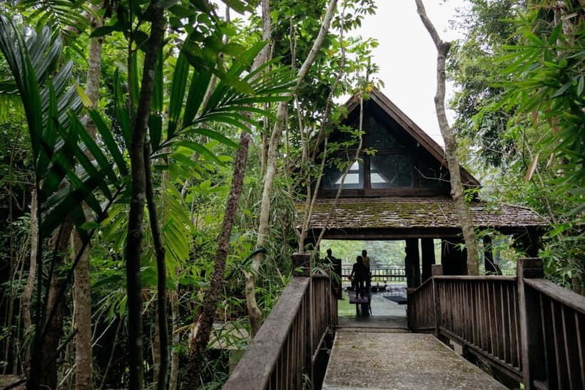 Chiang Mai: Nature and Nurture 1-Day All About Love Retreat - Practical Details & Tips