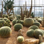 Chiang Mai: Queen Sirikit Botanic Garden Entry Ticket - Highlights that Make it Special