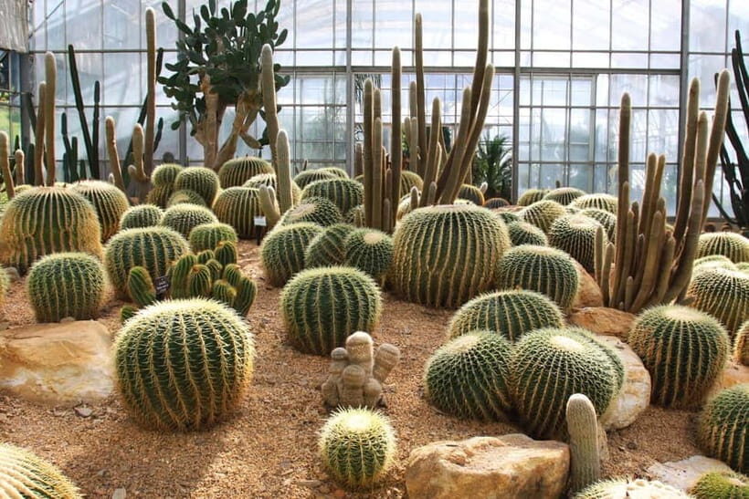 Chiang Mai: Queen Sirikit Botanic Garden Entry Ticket - Highlights that Make it Special