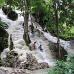 Chiang Mai: Sticky Waterfall Half day tour - Who Should Consider This Tour?