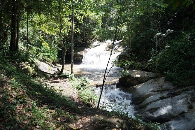 Chiang Mai Trekking Tour :Full day (no rafting) - Transportation, Group Size, and Overall Value