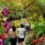 Chiang Rai: Excursion White, Blue,Red Temples & Lalitta Café - Practical Details and Value