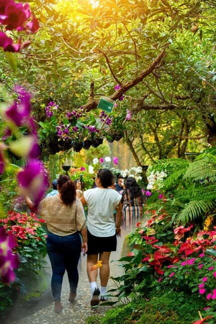 Chiang Rai: Excursion White, Blue,Red Temples & Lalitta Café - Practical Details and Value