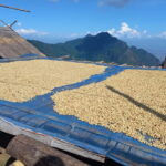 Chiang Rai: Northern Thailand Tour with Golden Triangle - Frequently Asked Questions (FAQ)