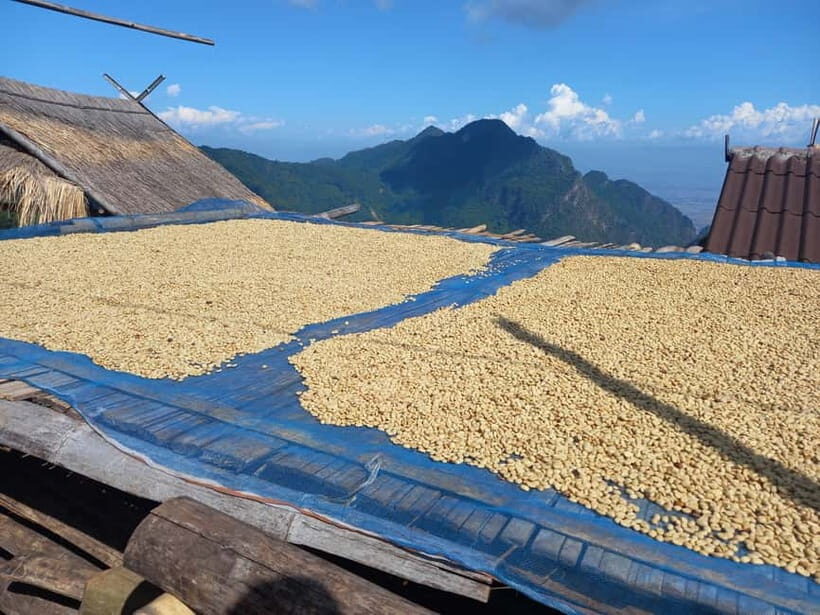 Chiang Rai: Northern Thailand Tour with Golden Triangle - Frequently Asked Questions (FAQ)