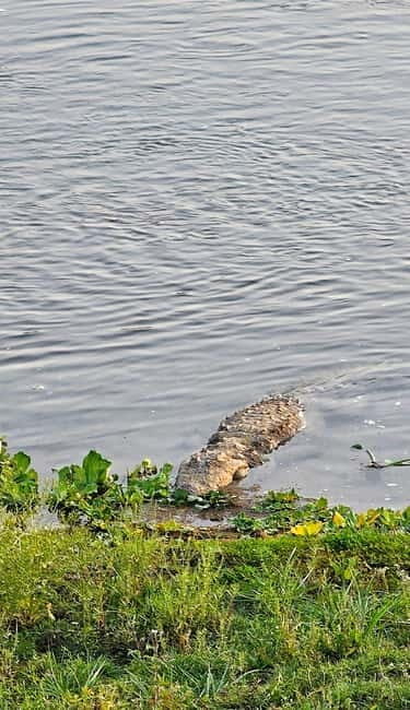 Chitwan: 2 Full day jungle walk with Canoeing all inclusive - Practical Details and Tips
