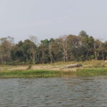 Chitwan Combo Tour: Jeep Safari, Canoeing & Jungle Walk - Why Choose This Tour?