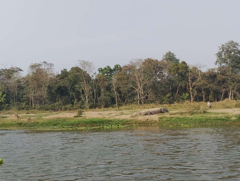 Chitwan Combo Tour: Jeep Safari, Canoeing & Jungle Walk - Why Choose This Tour?