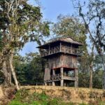 Chitwan Jungle Safari 3-Day Tour - Detailed Breakdown of the 3-Day Itinerary