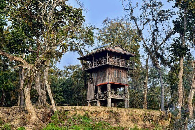 Chitwan Jungle Safari 3-Day Tour - Detailed Breakdown of the 3-Day Itinerary