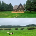 Chongqing: 5-Day Tour with Wulong & Fairy Mountain - City Highlights and Unique Experiences in Chongqing