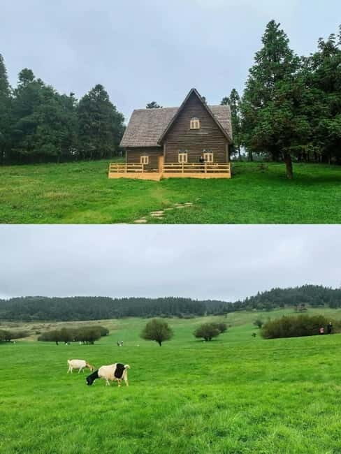 Chongqing: 5-Day Tour with Wulong & Fairy Mountain - City Highlights and Unique Experiences in Chongqing