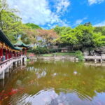 Chongqing: Active Wellness, Monorail, and Hidden Gems Tour - Detailed Review of the Tour Experience