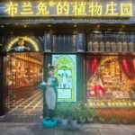 Chongqing: Art and Culture Immersion - Evening at Hongya Cave: Scenic Night Views and Street Snacks