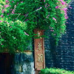 Chongqing Explore Wulong Private Day Tour - Detailed Breakdown of the Itineraries