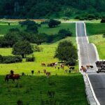 Chongqing Private Day Tour to Wulong Karst National Geology Park - FAQ About the Chongqing Private Day Tour to Wulong