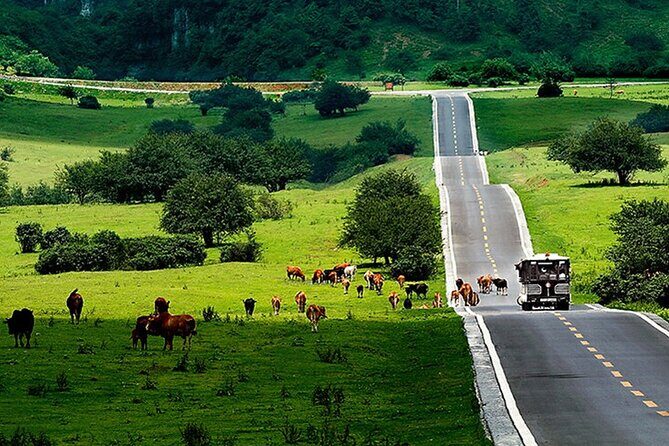 Chongqing Private Day Tour to Wulong Karst National Geology Park - FAQ About the Chongqing Private Day Tour to Wulong