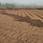 Chormara: Homestay, Meals, & Cultural Immersion Program - Who Should Consider This Experience?