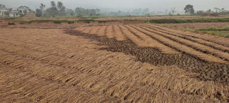 Chormara: Homestay, Meals, & Cultural Immersion Program - Who Should Consider This Experience?