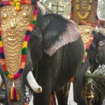 Cochin: 5-Day Munnar, Thekkady, and Alleppey Tour - Who Would Benefit Most?
