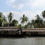 Cochin: Alleppey Backwater Private Day Cruise by Houseboat - What Makes This Tour Stand Out?