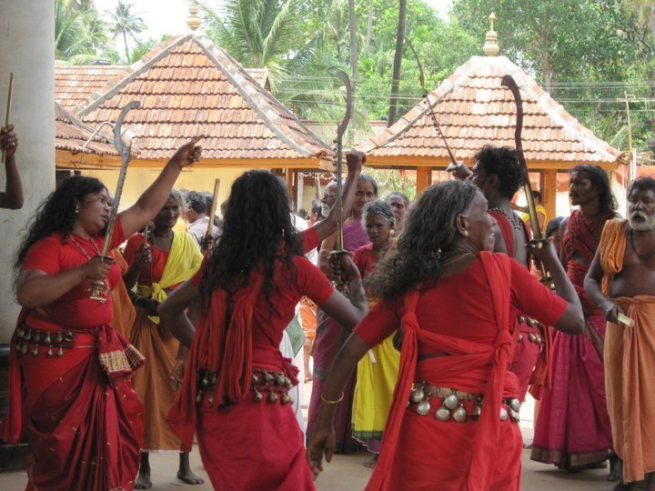 Cochin shore excursion with Lijo Jose - What Makes This Tour Stand Out?