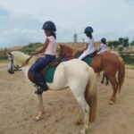 Colombo: Beach Horseback Riding Experience - What the Experience Looks Like in Detail