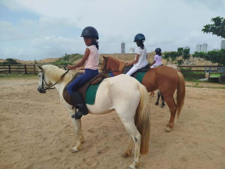 Colombo: Beach Horseback Riding Experience - What the Experience Looks Like in Detail