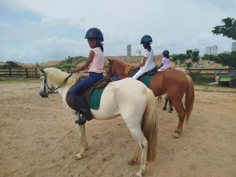 Colombo: Beach Horseback Riding Experience - What the Experience Looks Like in Detail