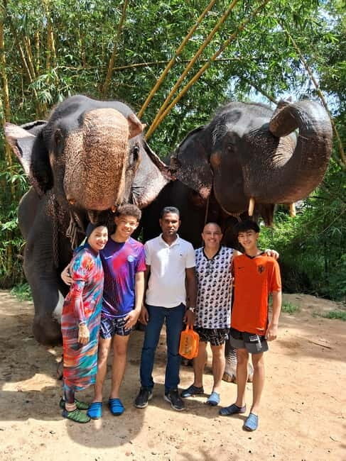 Colombo To Pinnawala & Kandy Luxury Day Tour by Car/Van/Bus - A Day Filled with Wildlife, Culture, and Scenery