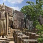 Colombo:Anuradhapura & Wilpattu Safari All Inclusive Tour - Why This Tour Is Worth Your Time