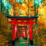 Crowd-Free Kyoto: Fushimi Inari, Nijo Castle & Kinkaku-ji - Nijo Castle: A Palace of Shogun Power