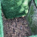 Cu Chi And Mekong Full Day Trip - The Logistics and Comfort