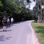 Cu Chi Tunnels By Motorbike and Scooter - Practical Details and What You Should Know