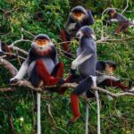 CUC Phuong National Park One Day Small Group - Practical Details and What You’ll Get