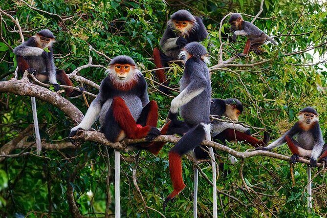 CUC Phuong National Park One Day Small Group - Practical Details and What You’ll Get