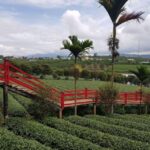 Da Lat: Explore Countryside trip with Motorbike Rider - Authenticity and Unique Experiences