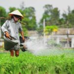 Da Nang: Experiencing the local lifestyle in Hoi An fullday - What Sets This Tour Apart?