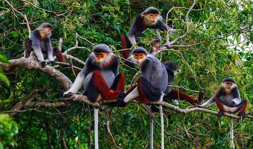 Da Nang & Hoi An city : Private City Highlighs Tour - The Value Proposition