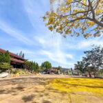 Dalat: 3 Waterfalls Day Tour  Datanla, Pongour & Elephant - A Complete Breakdown of the Tour