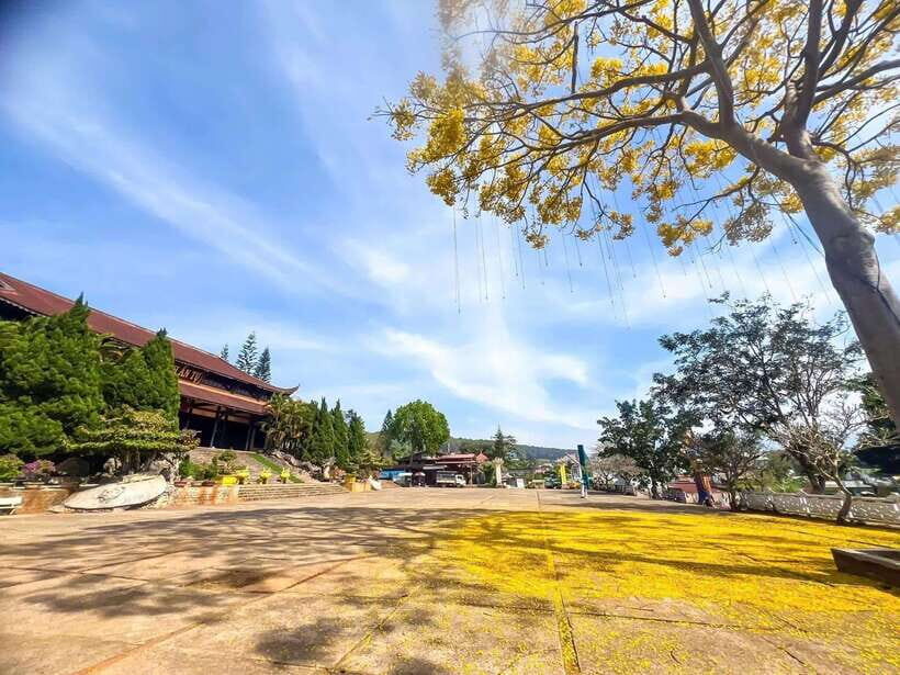 Dalat: 3 Waterfalls Day Tour  Datanla, Pongour & Elephant - A Complete Breakdown of the Tour